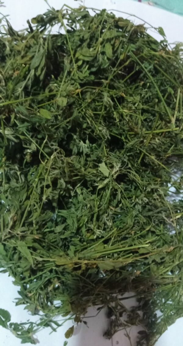 heno de alfalfa para conejos kuidoo