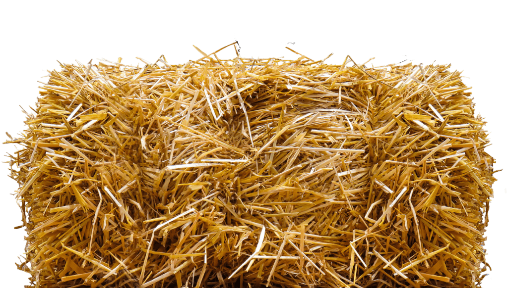 straw, straw bales, isolated-5002329.jpg