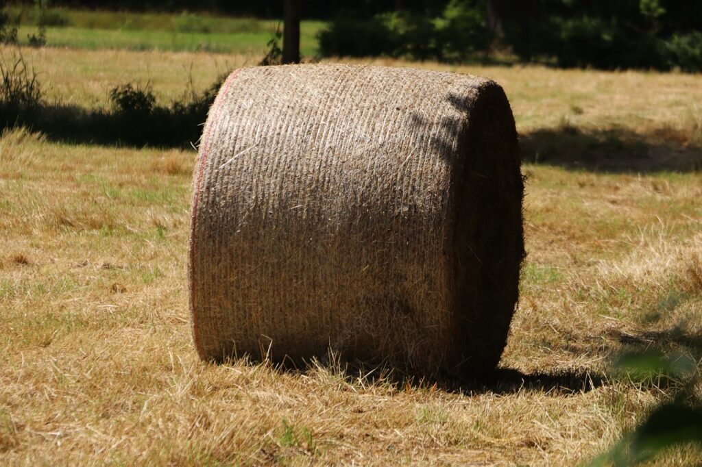 field, hay, hay bale-7284197.jpg