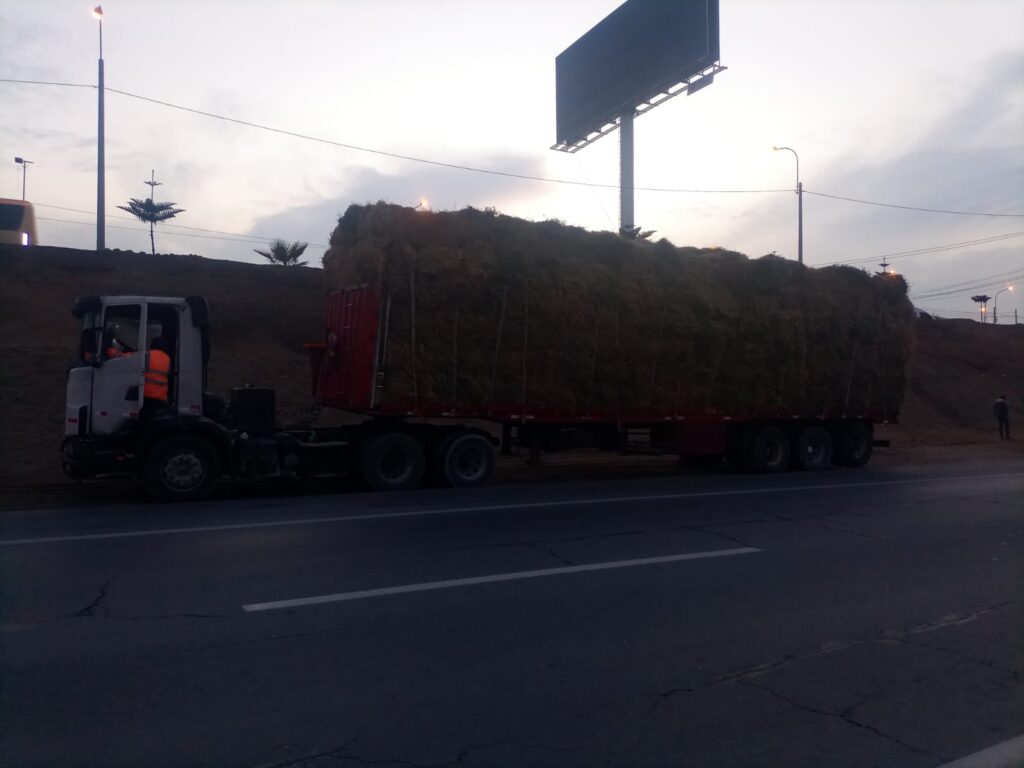 Despacho de pacas de alfalfa de pisco a lima