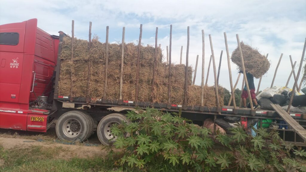 Despacho de pacas de alfalfa de pisco a lima