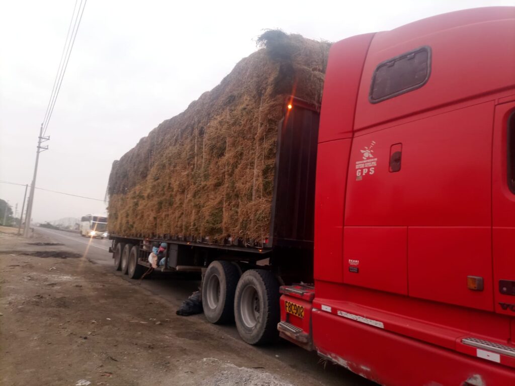 Despacho de pacas de alfalfa de pisco a lima en Chilca